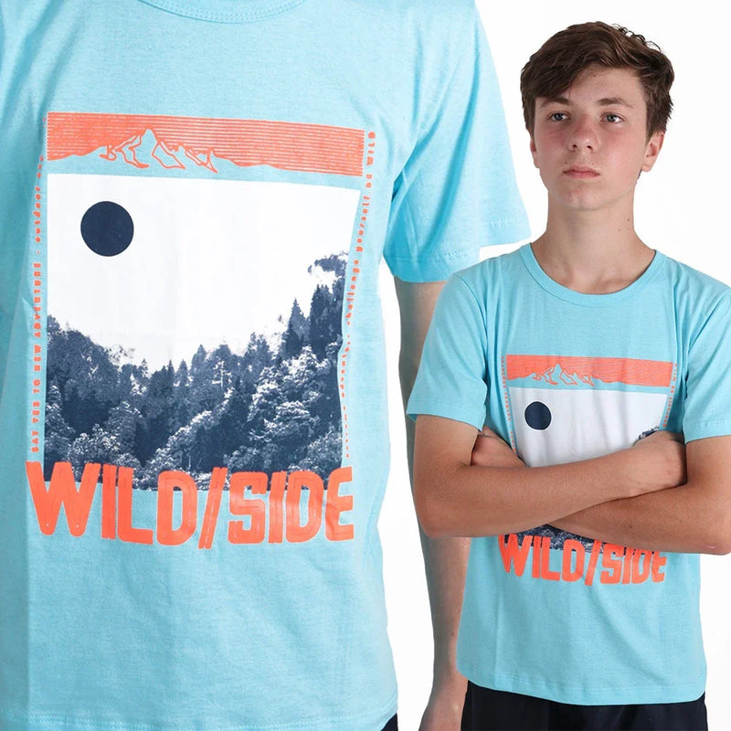 Combo com 5 Camisetas Infanto-juvenil